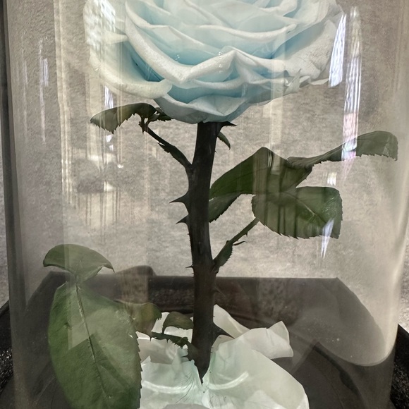 Rose in Glass Dome - Picture 4 of 5